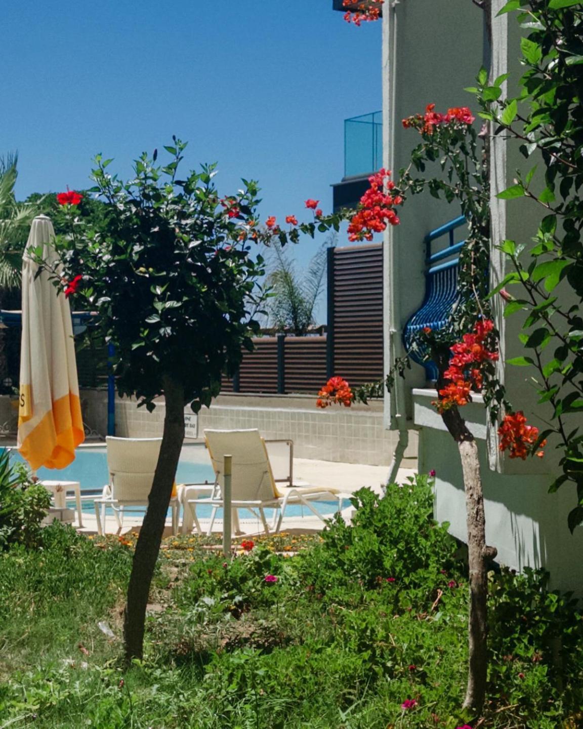 One More Day Hotel Turgutreis Εξωτερικό φωτογραφία